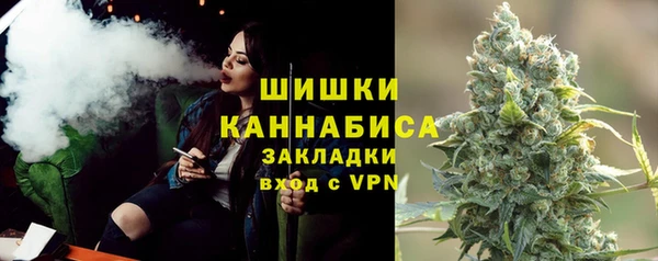 PSILOCYBIN Баксан