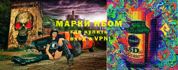 PSILOCYBIN Баксан