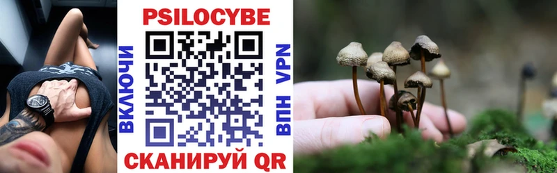 KRAKEN зеркало  Облучье  Галлюциногенные грибы Cubensis 
